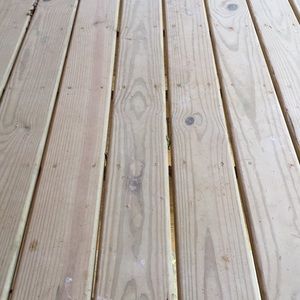 Meet your Posher, Dee